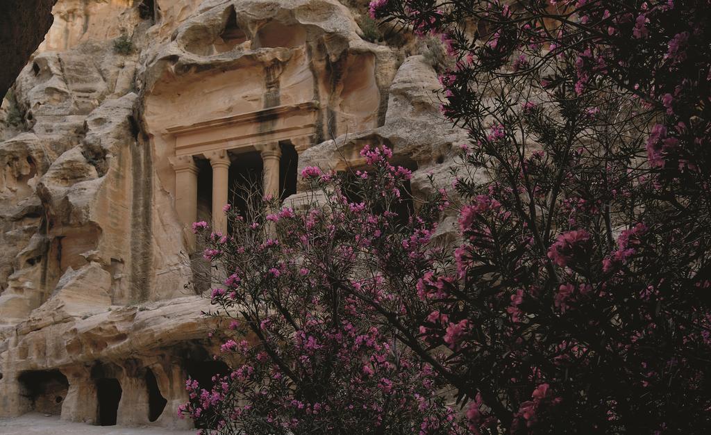 Moevenpick Resort Petra Wadi Musa Exterior photo The rock-cut tomb of King Herod the Great